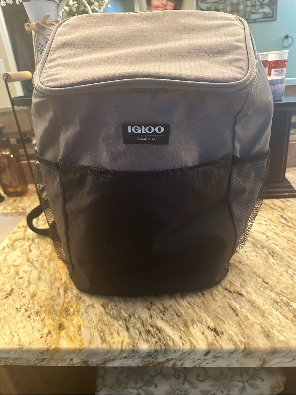 Igloo Gray and Black Insulated Daypack Cooler Backpack